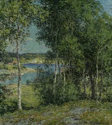 Een familie van berken